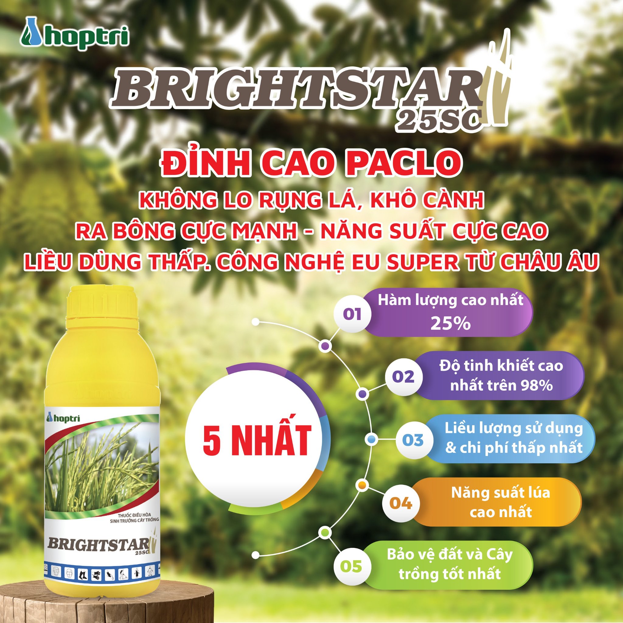 Thuốc điều hòa sinh trưởng Brightstar 25SC - Chai 1 lít